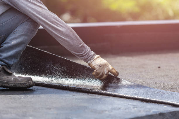 Professional Interior Drainage System technician working in Amboy, IL